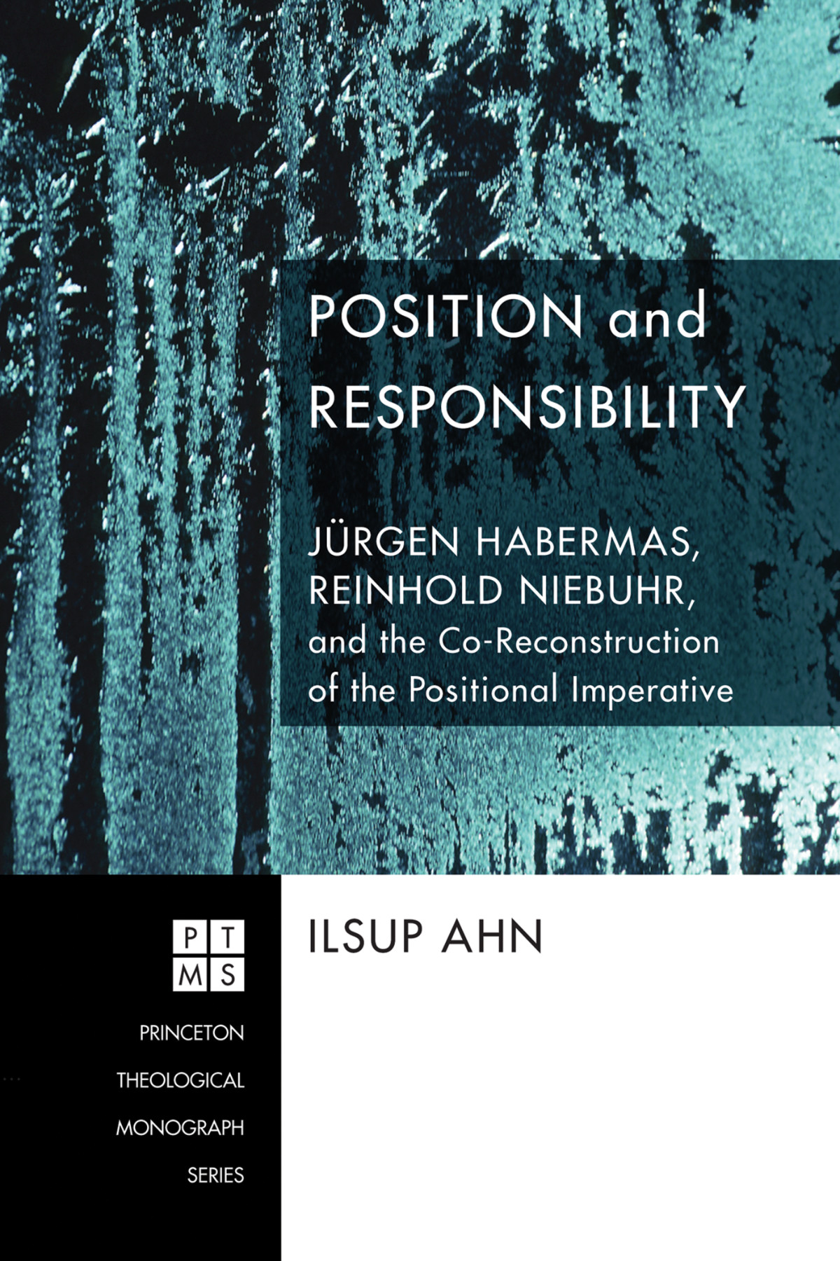 Position And Responsibility Ilsup Ahn