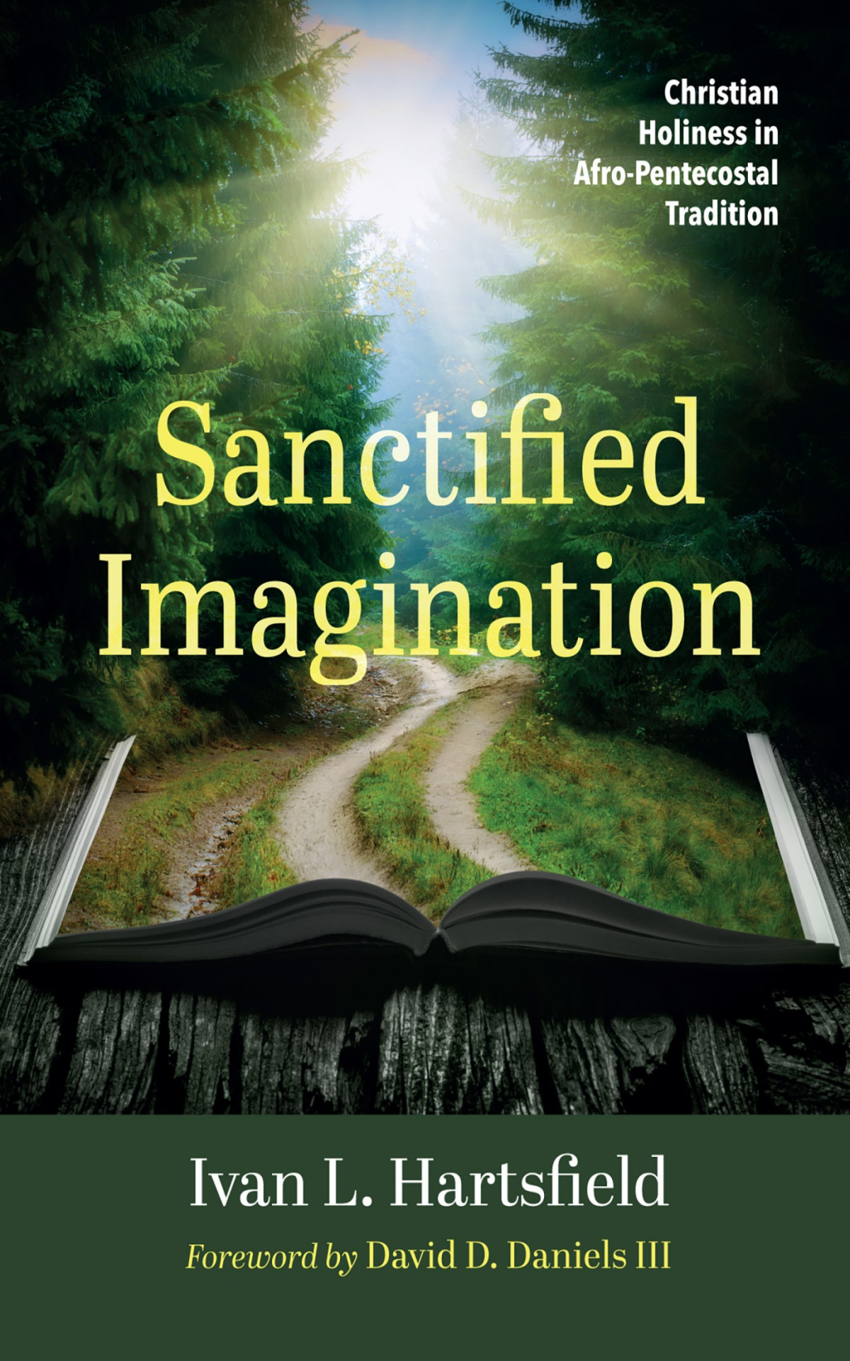 Sanctified Imagination Ivan L Hartsfield