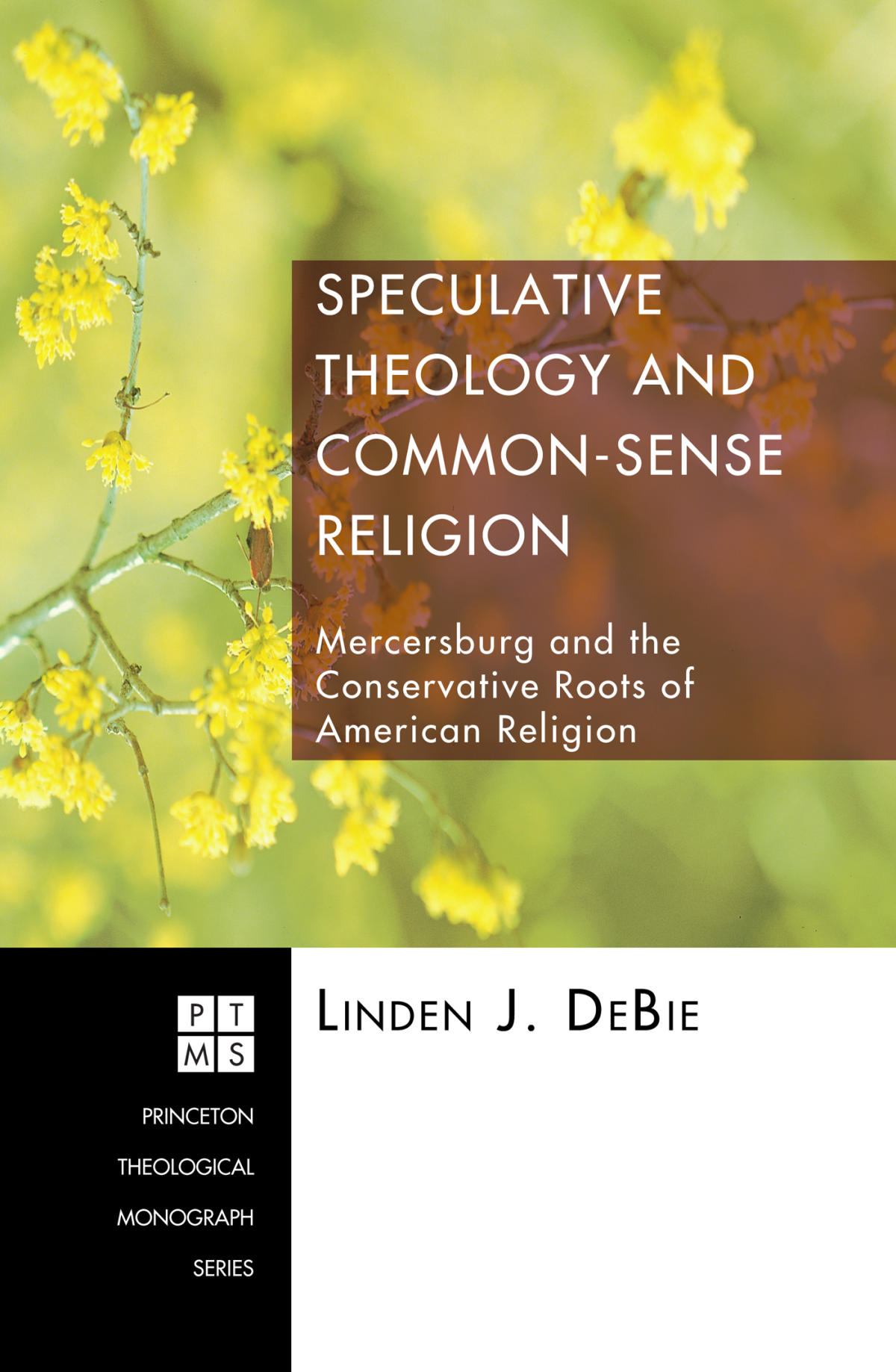 Speculative Theology And Commonsense Religion Linden J Debie