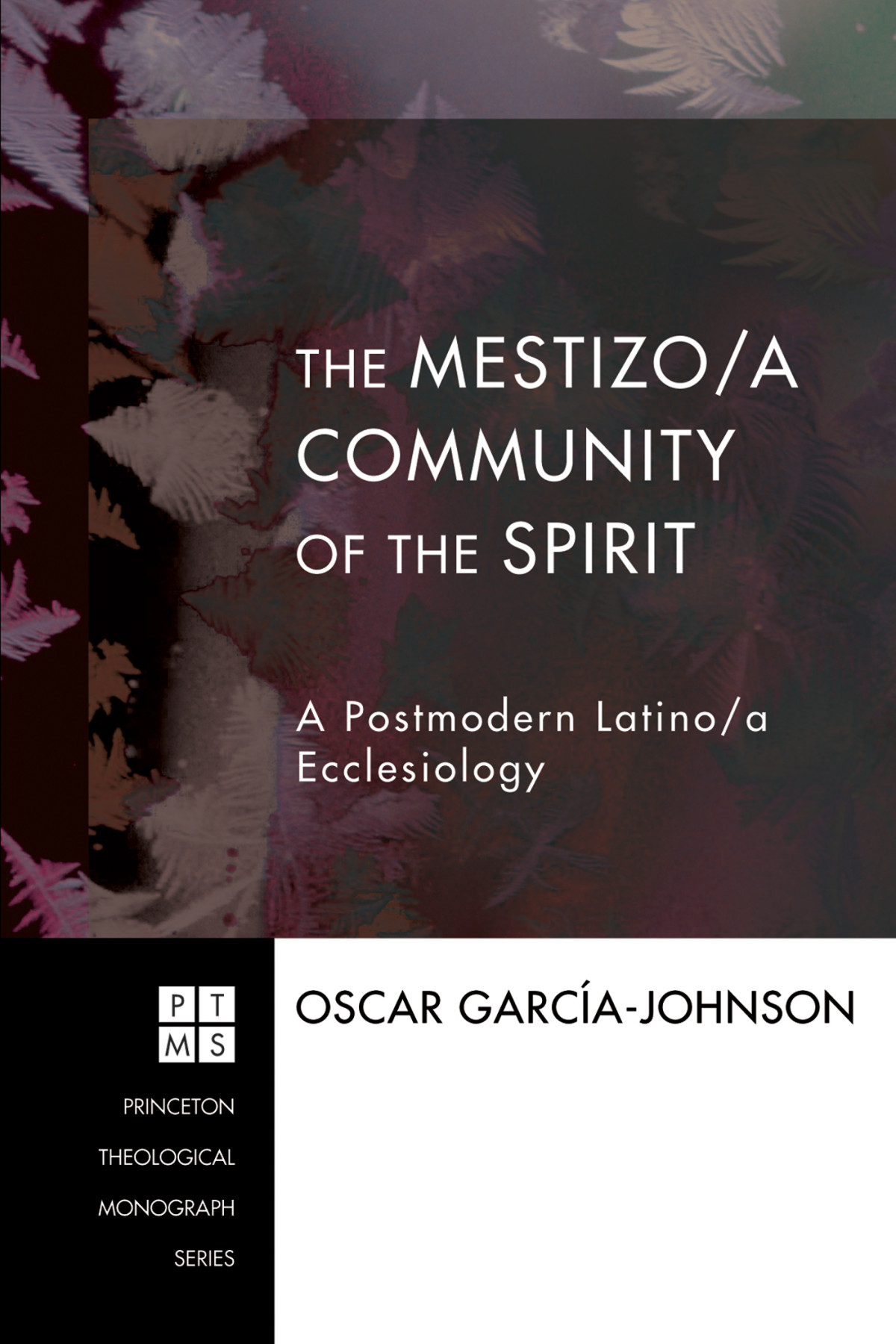 The Mestizoa Community Of The Spirit Oscar Garciajohnson