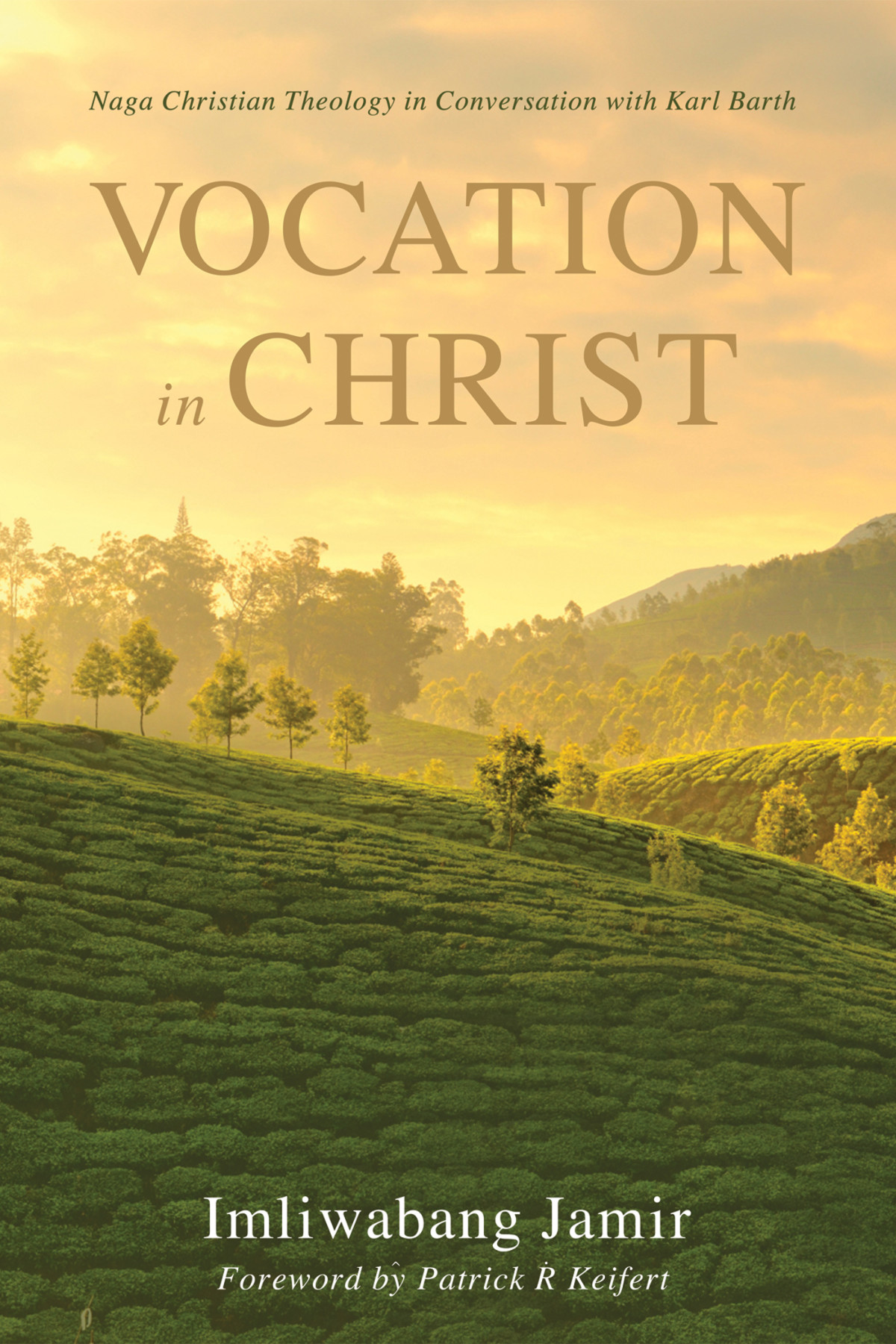 Vocation In Christ Imliwabang Jamir