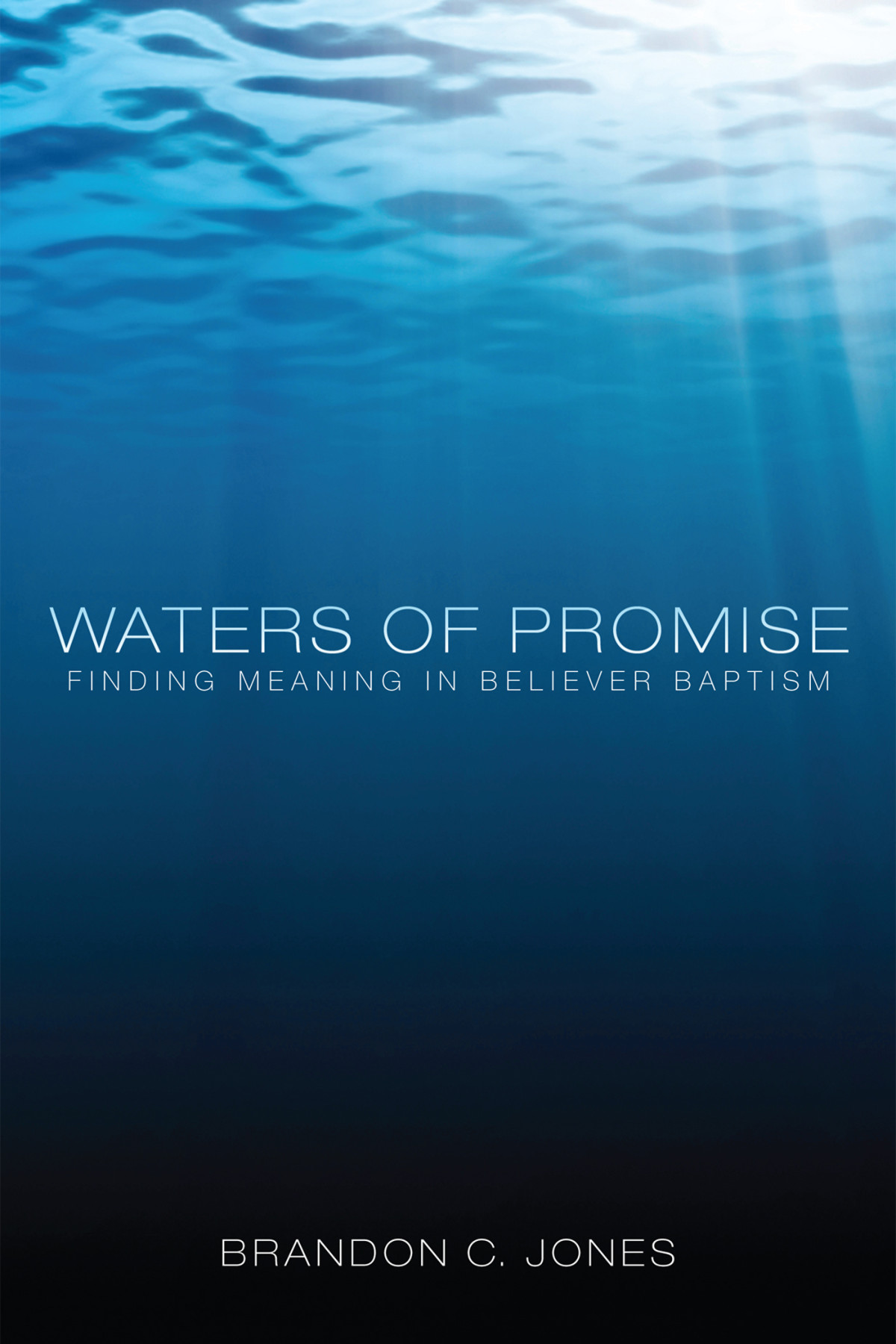 Waters Of Promise Brandon C Jones