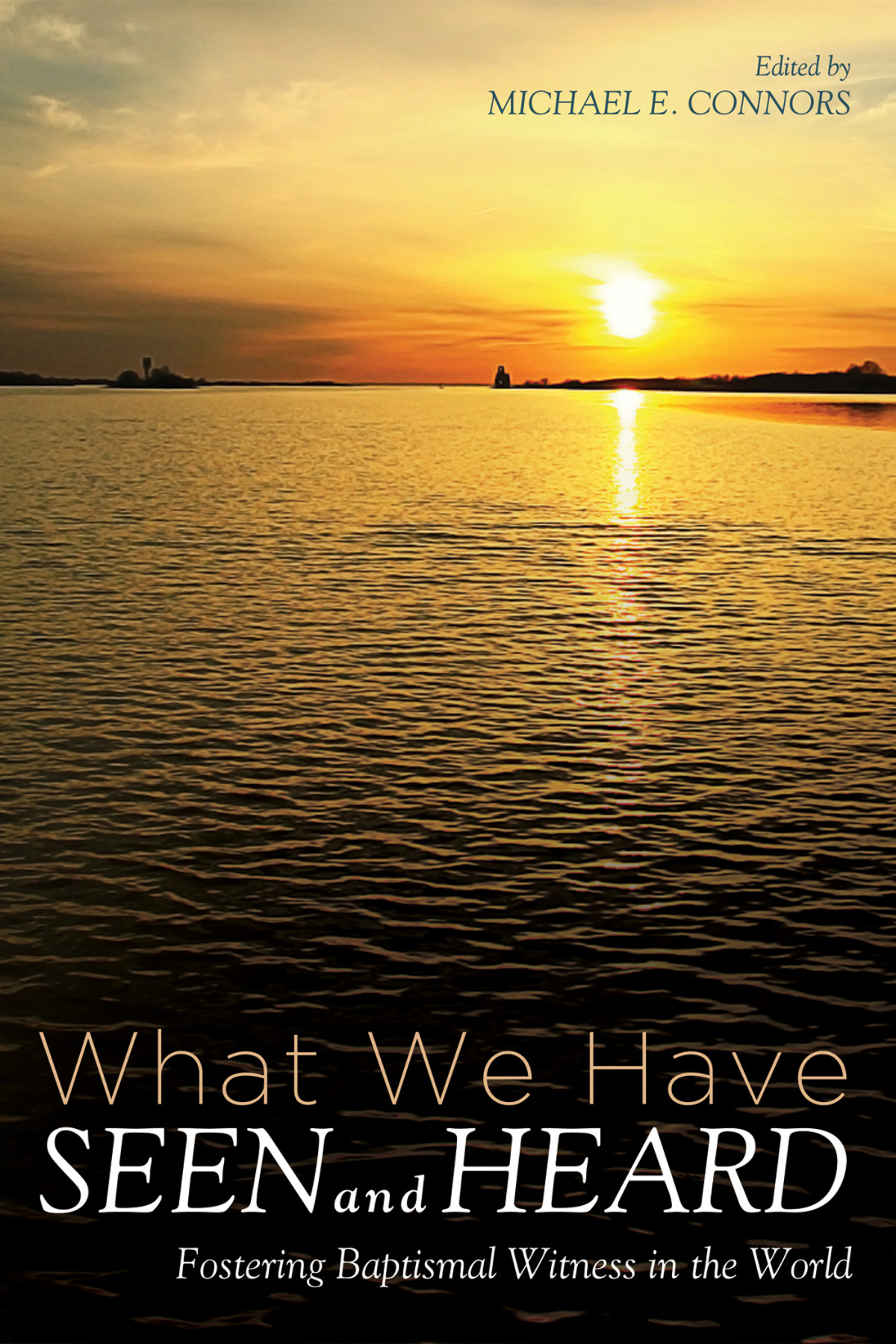 What We Have Seen And Heard Michael E Connors