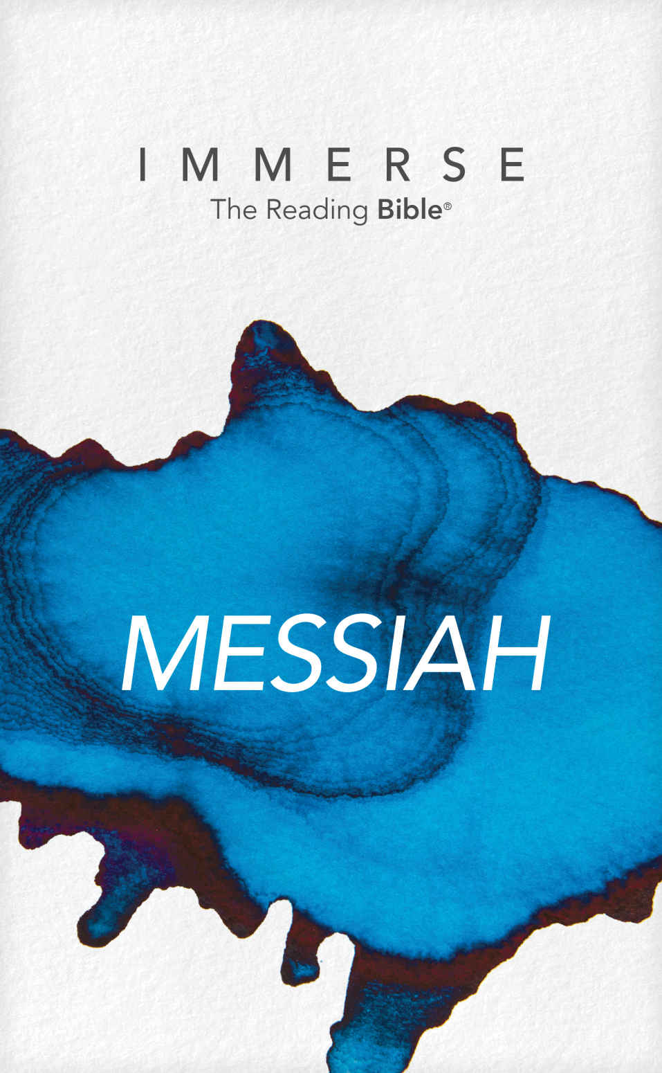 Immerse Messiah Created In Alliance With Institute For Bible Reading