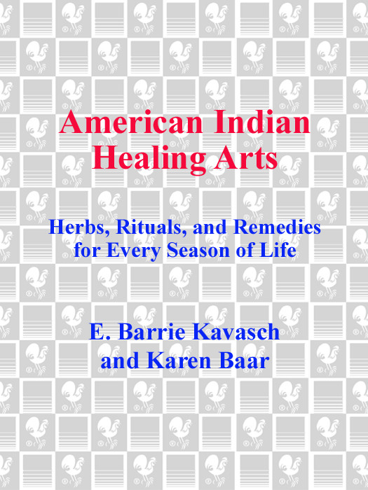 American Indian Healing Arts E Barrie Kavasch