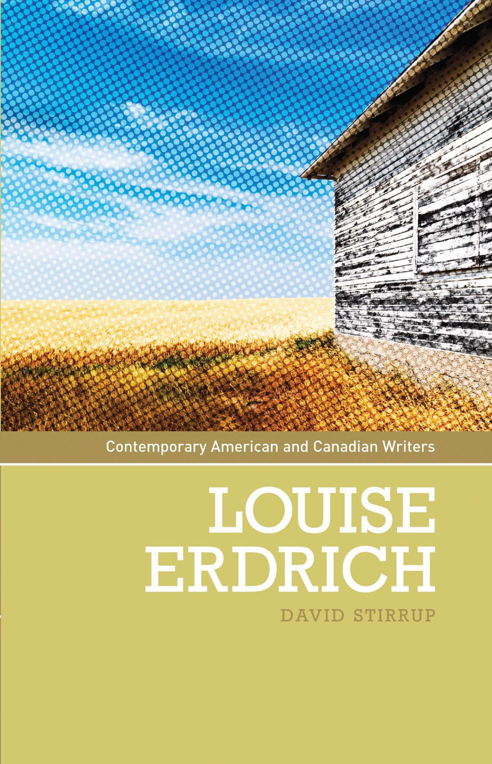 Louise Erdrich David Stirrup