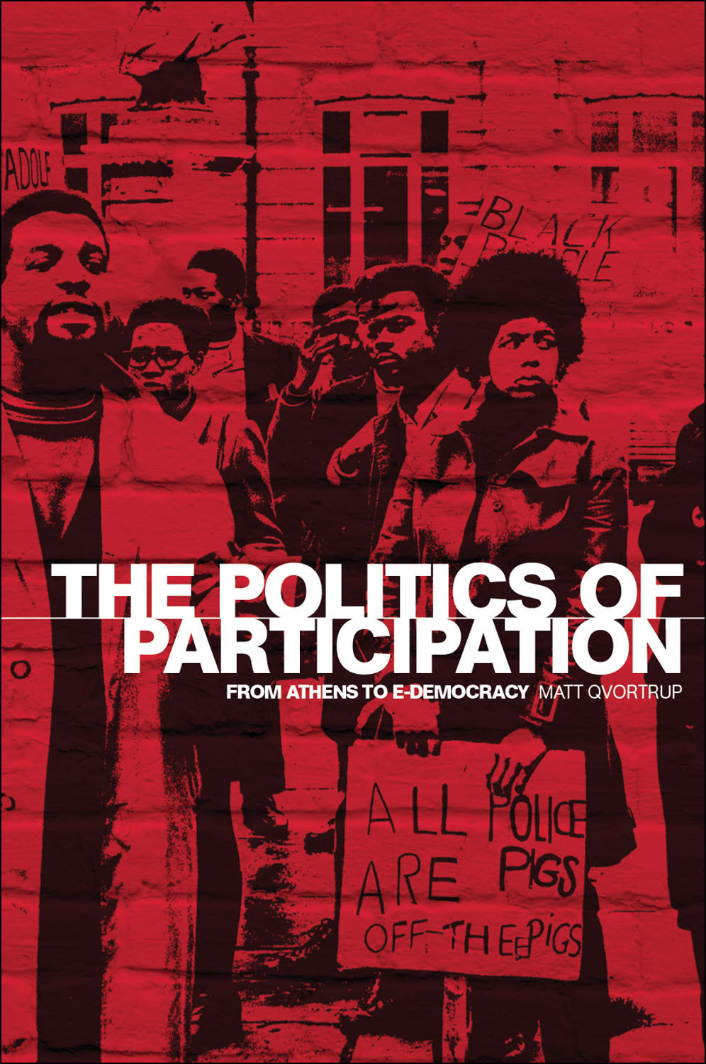 The Politics Of Participation Matt Qvortrup