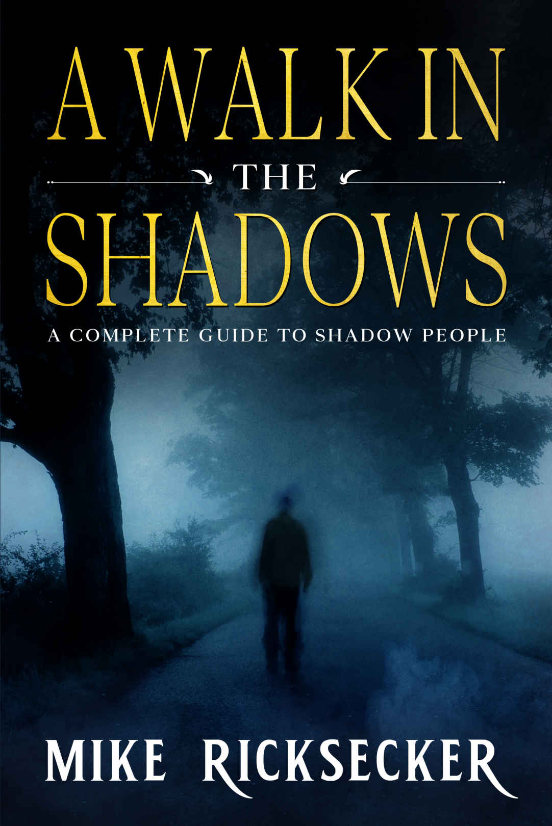 A Walk In The Shadows A Complete Guide To Shadow People Ricksecker