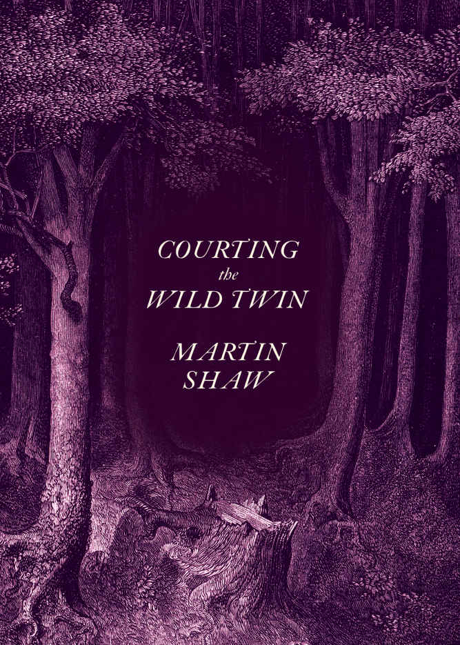 Courting The Wild Twin Shaw Martin Shaw Martin