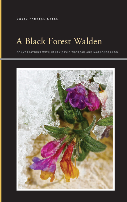 A Black Forest Walden David Farrell Krell