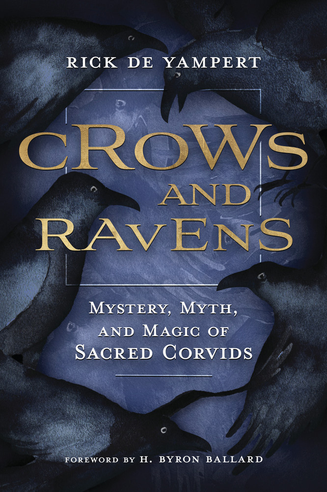 Crows Ravens Rick De Yampert