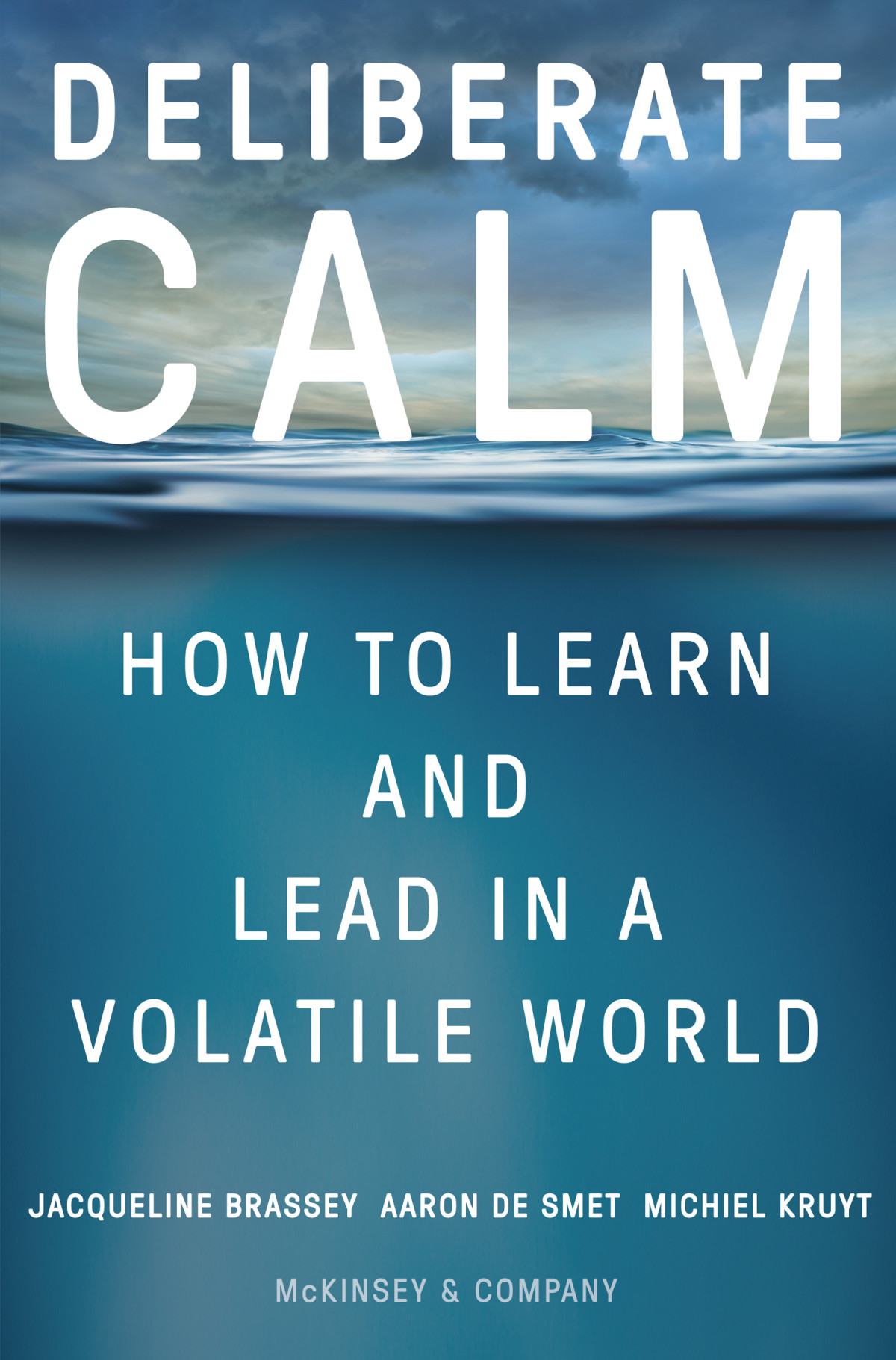 Deliberate Calm Jacqueline Brassey