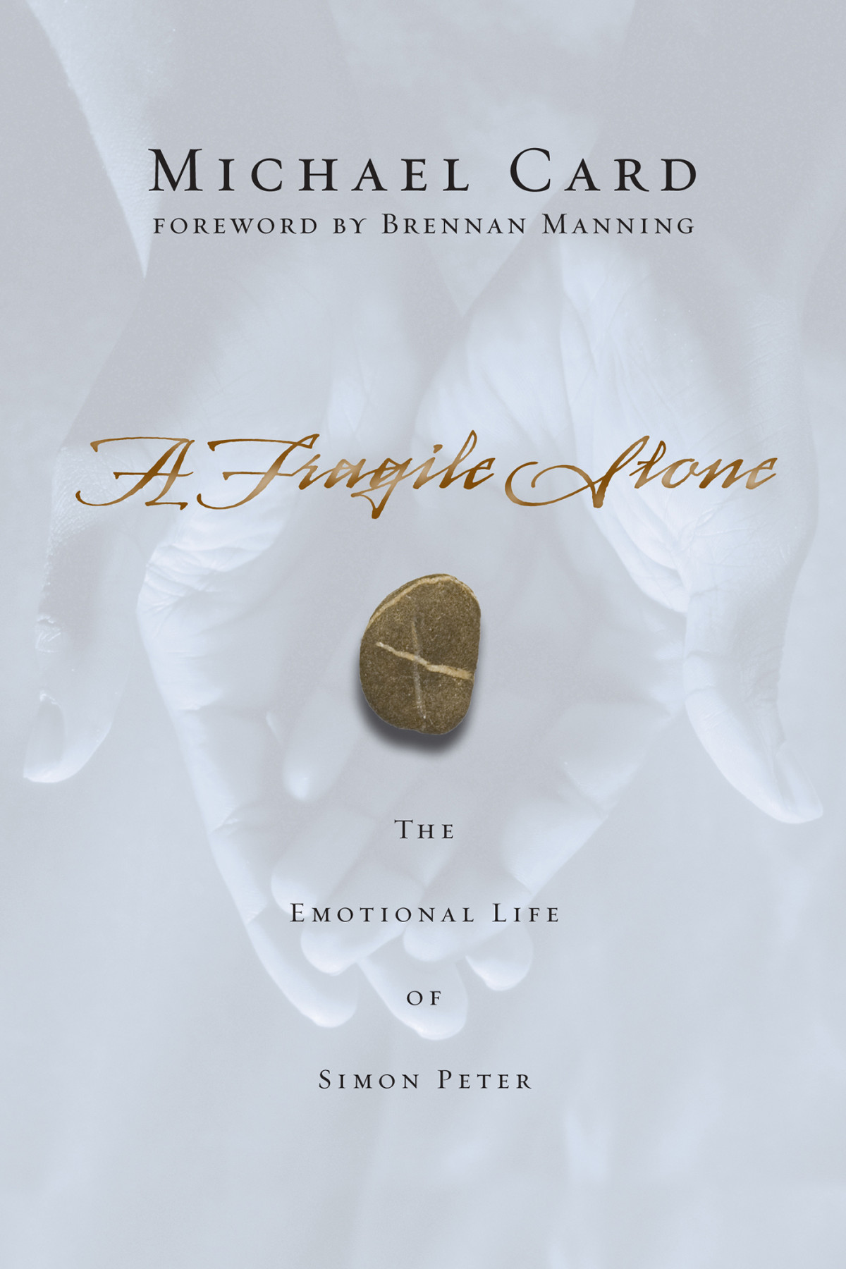 A Fragile Stone Michael Card