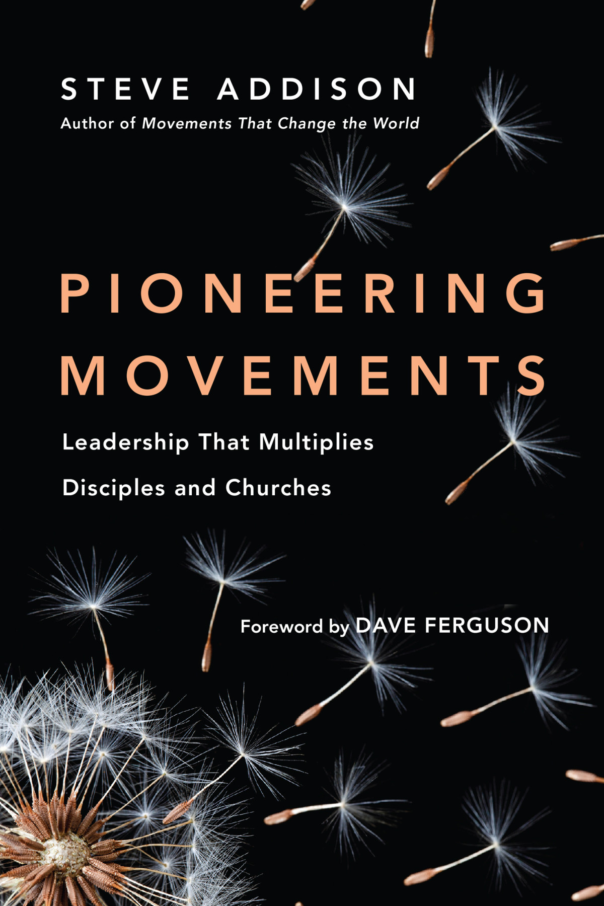 Pioneering Movements Steve Addison