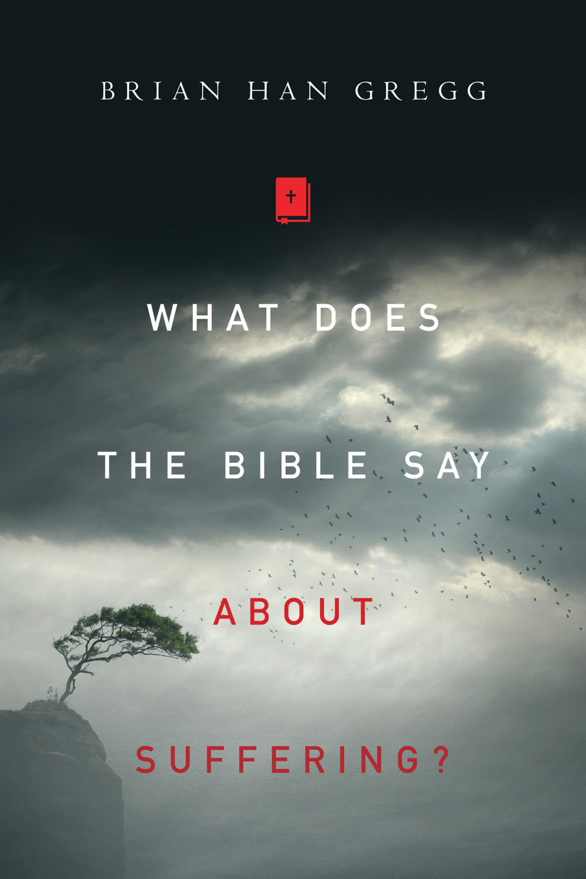 What Does The Bible Say About Suffering Gregg Brian Han