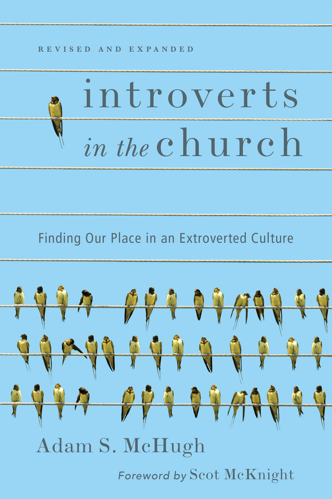Introverts In The Church Adam S Mchugh