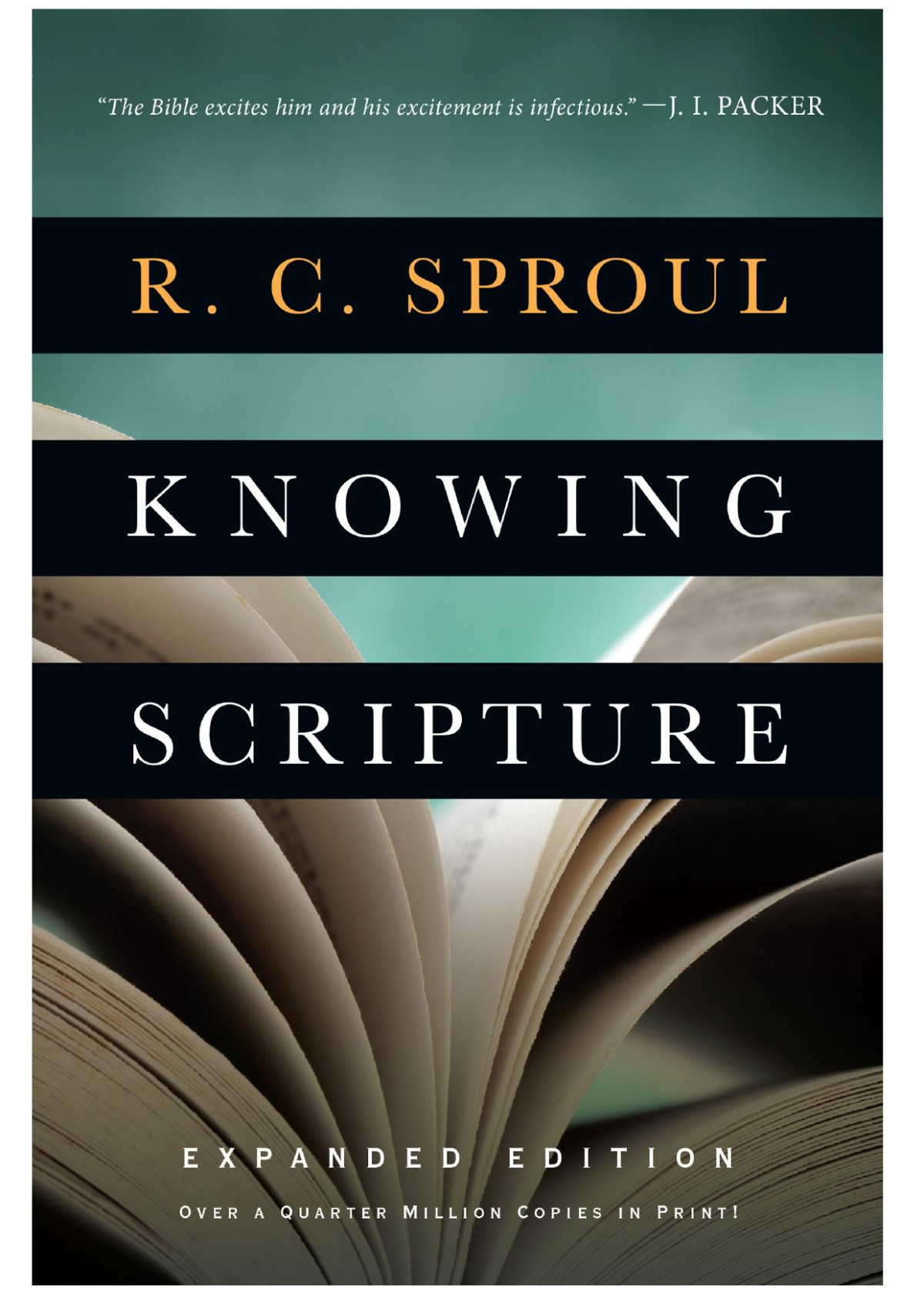 Knowing Scripture R C Sproul