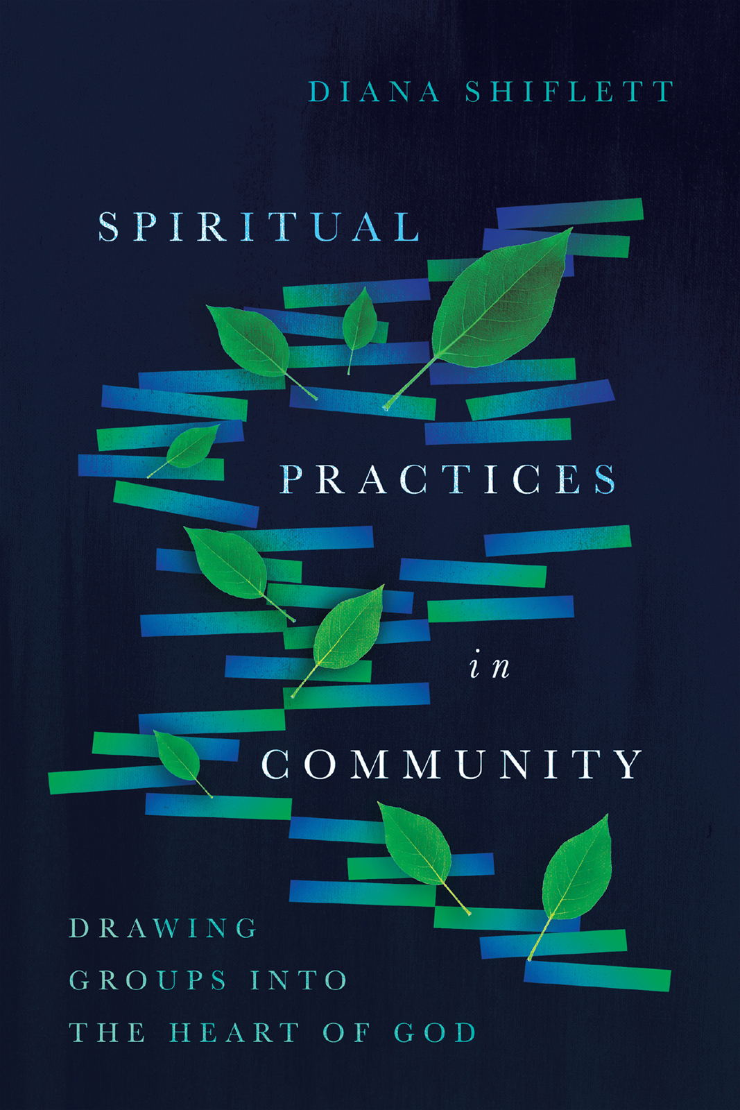 Spiritual Practices In Community Shiflett Diana
