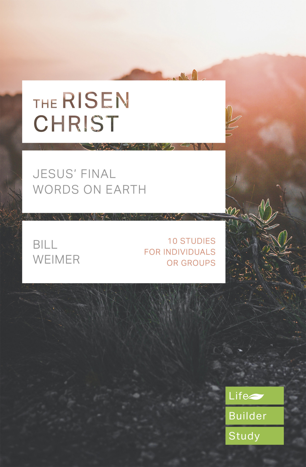 The Risen Christ Lifebuilder Study Guides Bill Weimer