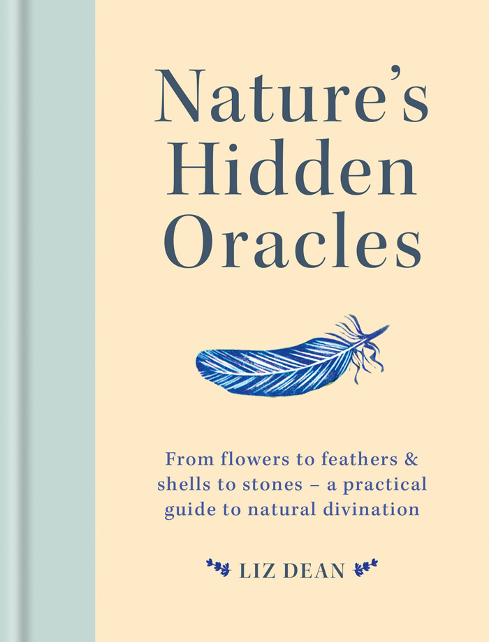 Natures Hidden Oracles From Flowers To Feathers Shells To Stones A Practical Guide To Natural Divination Dean