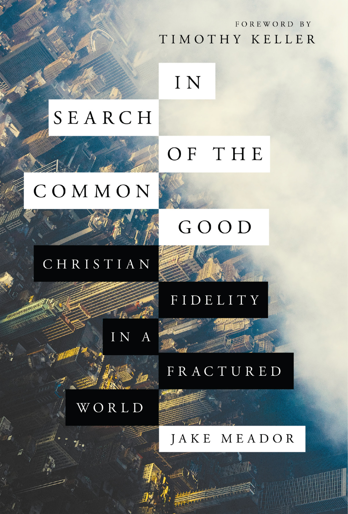 In Search Of The Common Good Meador Jake