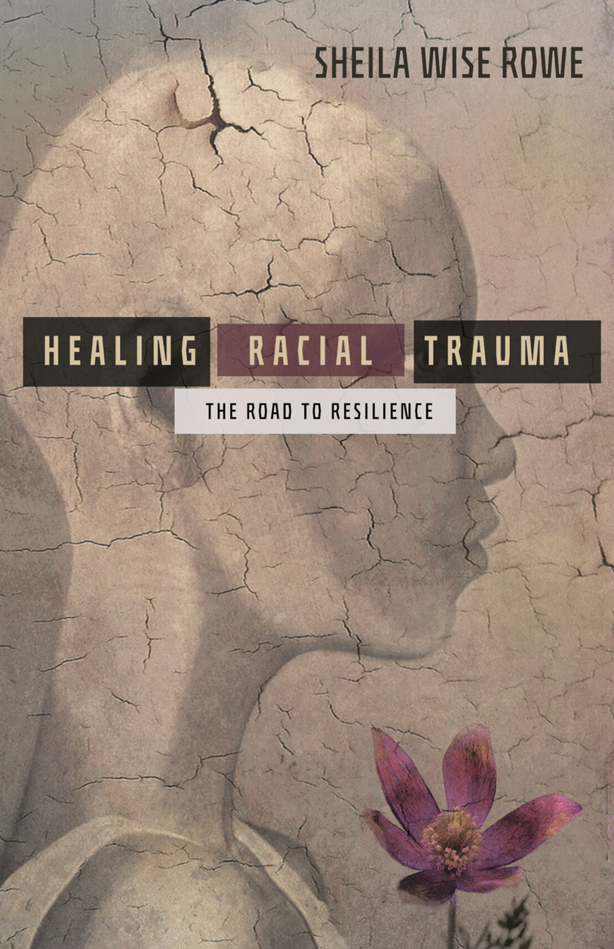 Healing Racial Trauma Rowe Sheila Wise