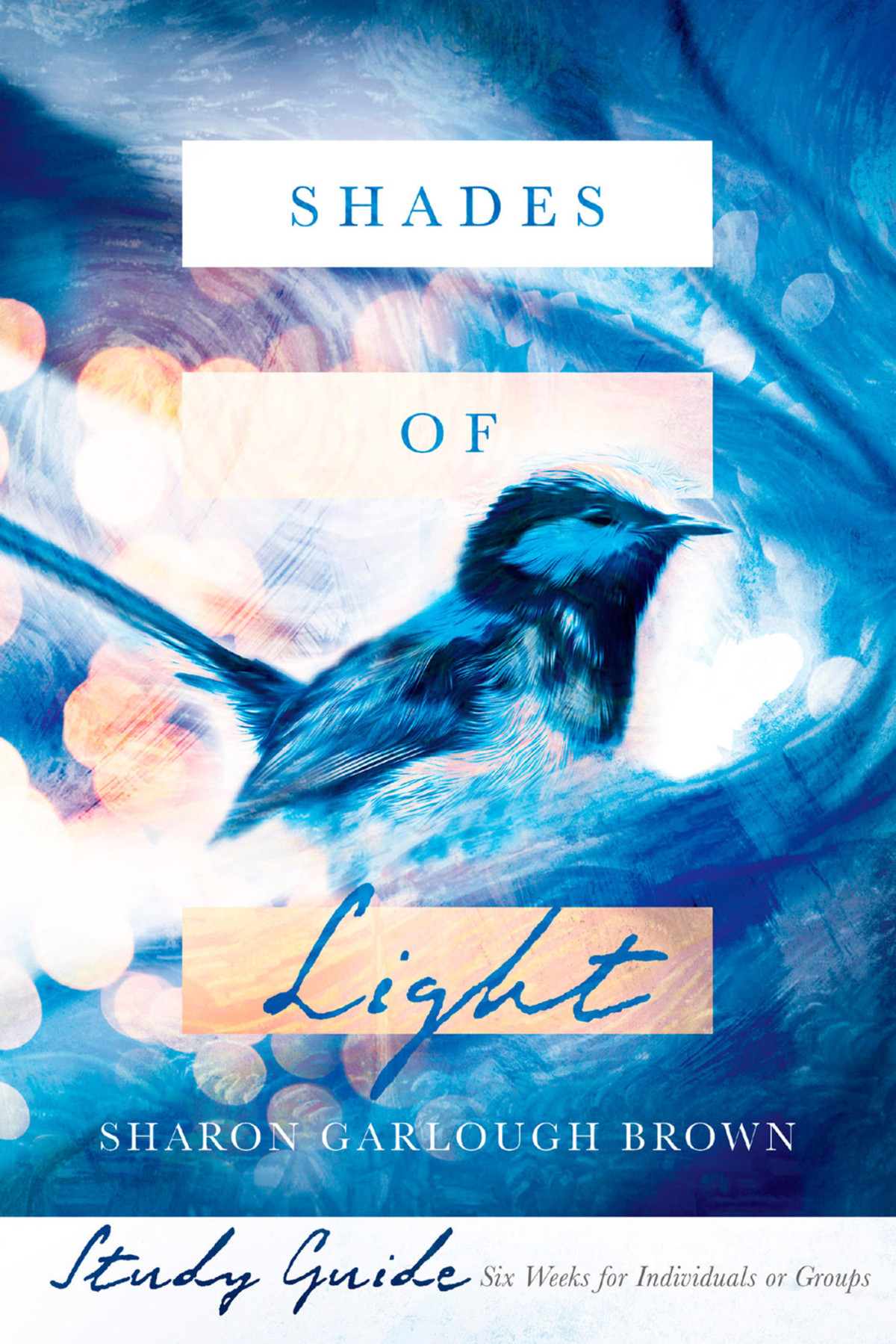 Shades Of Light Study Guide Sharon Garlough Brown