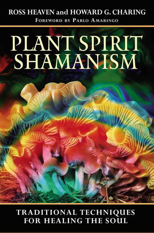 Plant Spirit Shamanism Traditional Techniques For Healing The Soul Heaven