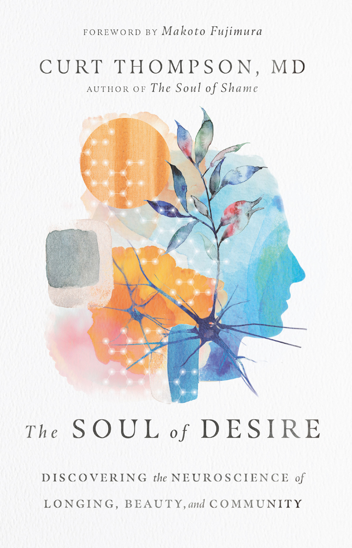 The Soul Of Desire Curt Thompson