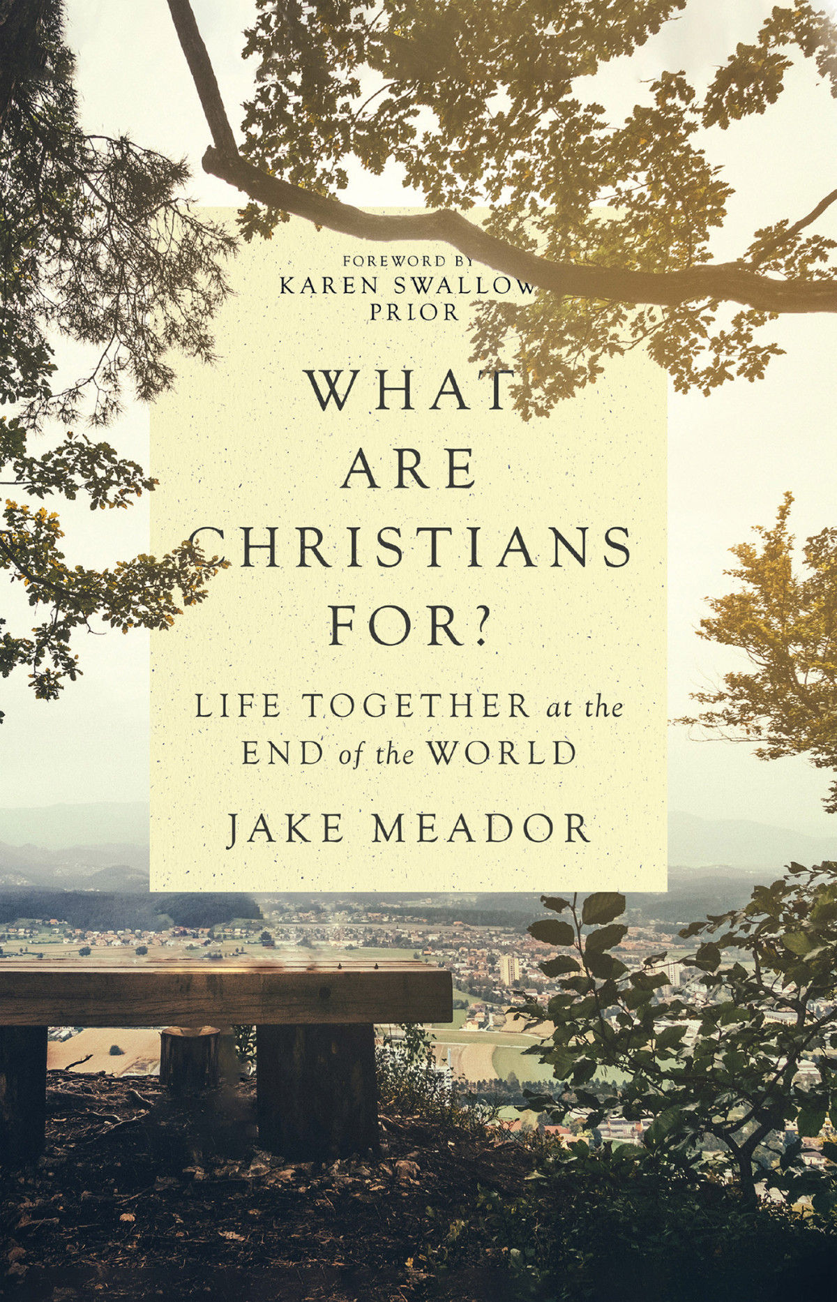 What Are Christians For Jake Meador