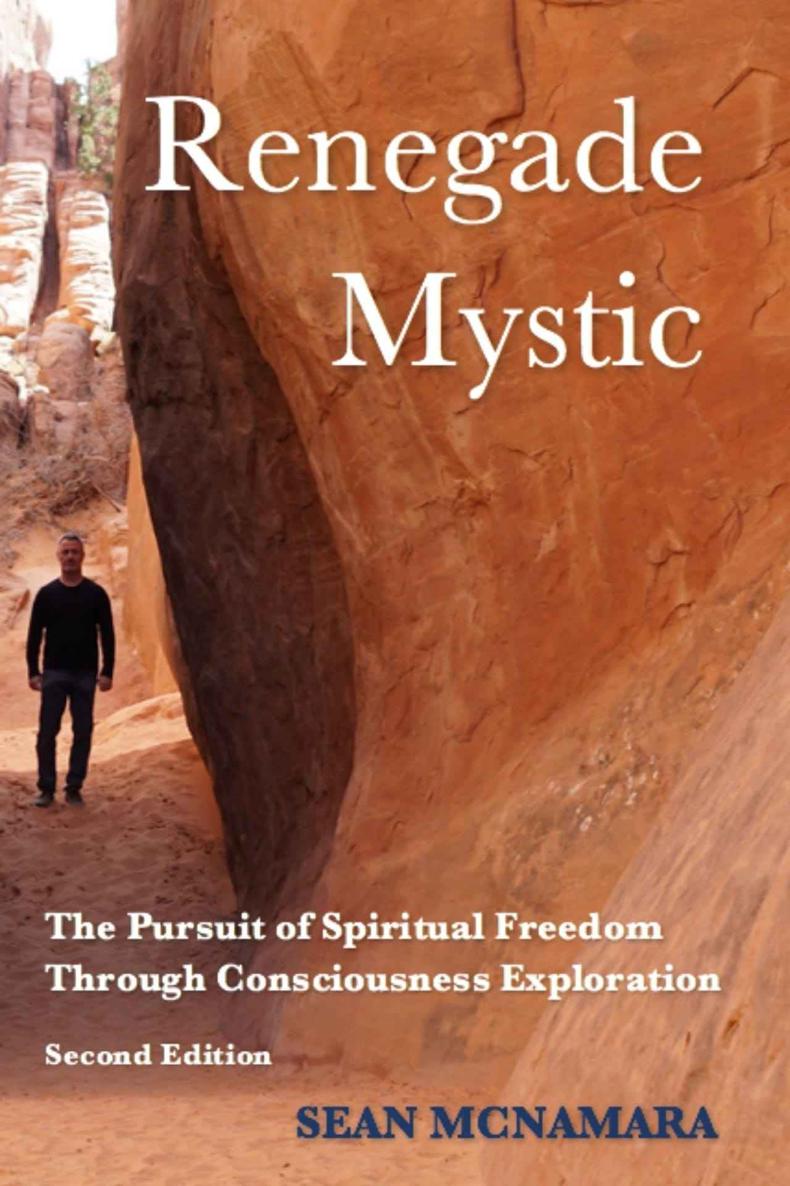 Renegade Mystic The Pursuit Of Spiritual Freedom Through Consciousness Exploration Sean Mcnamara