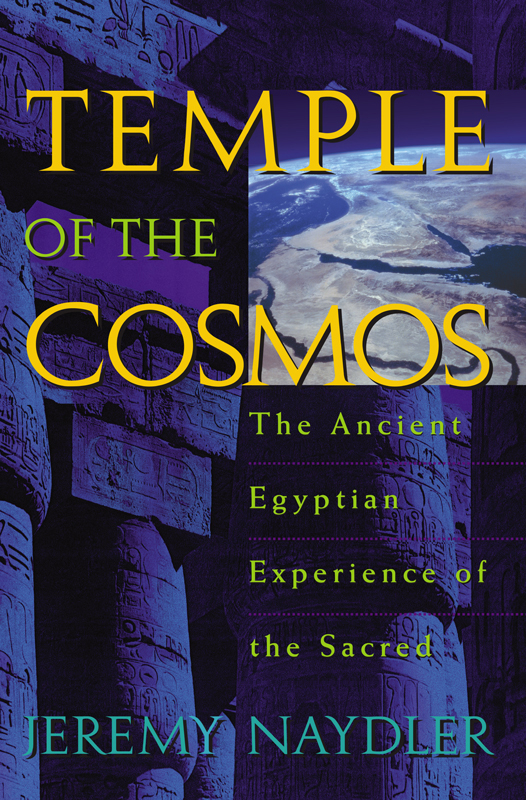 Temple Of The Cosmos Jeremy Naydler