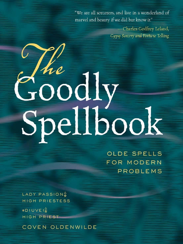 The Goodly Spellbook Olde Spells For Modern Problems Steven Rasmussen Dixie Deerman