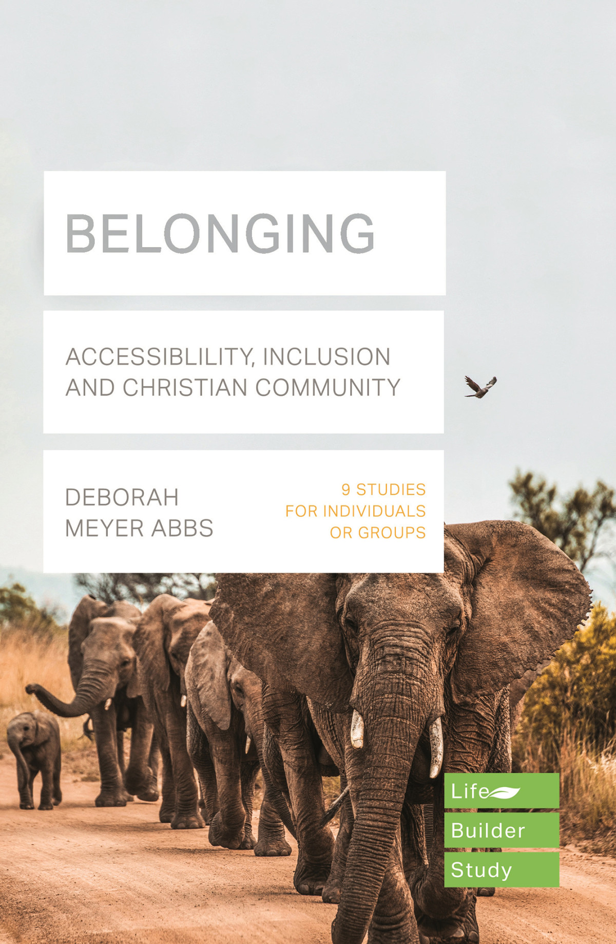 Belonging Lifebuilder Bible Study Deborah Meyer Abbs