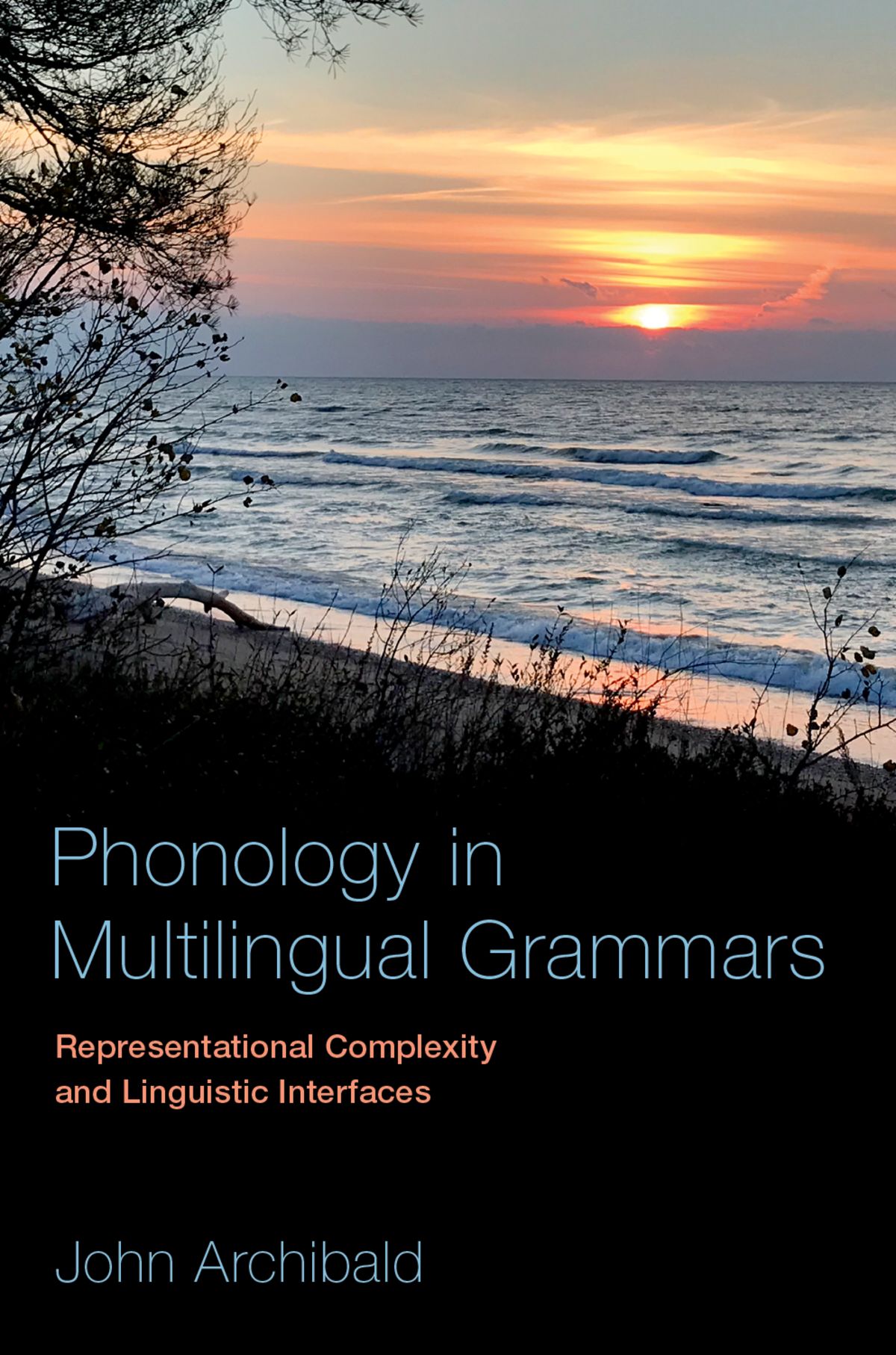 Phonology In Multilingual Grammars John Archibald