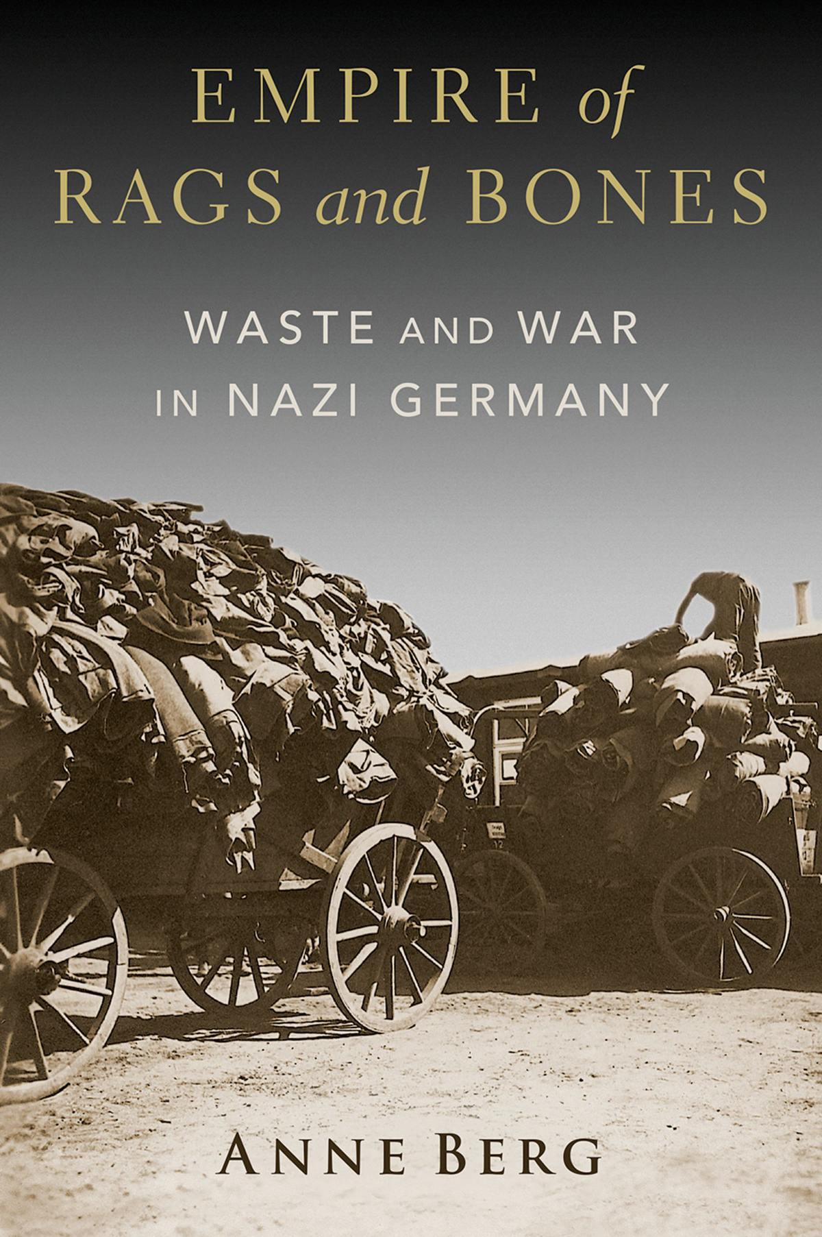 Empire Of Rags And Bones Anne Berg