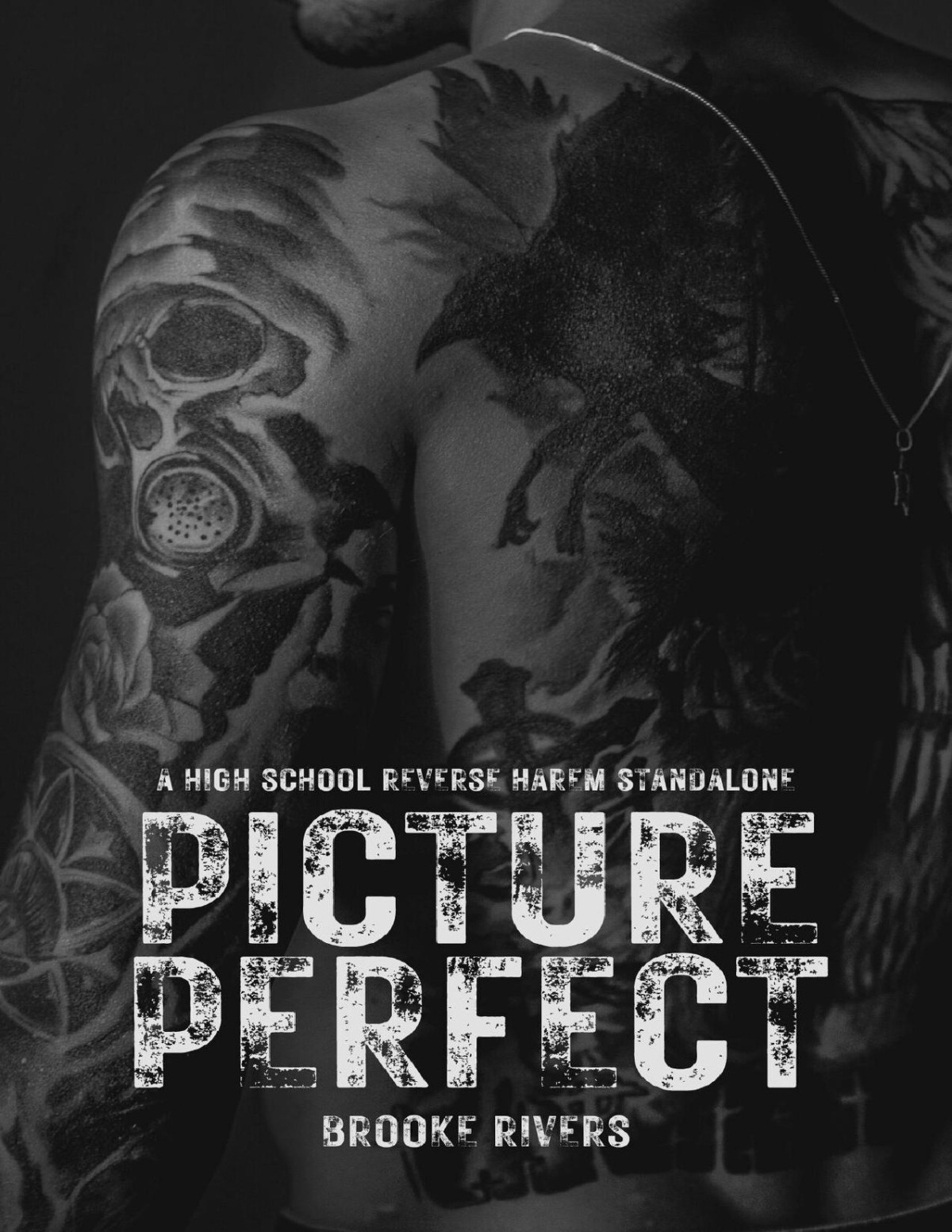 Picture Perfect Standalone Enemies To Lovers Reverse Harem Beautifully Broken Brooke Rivers