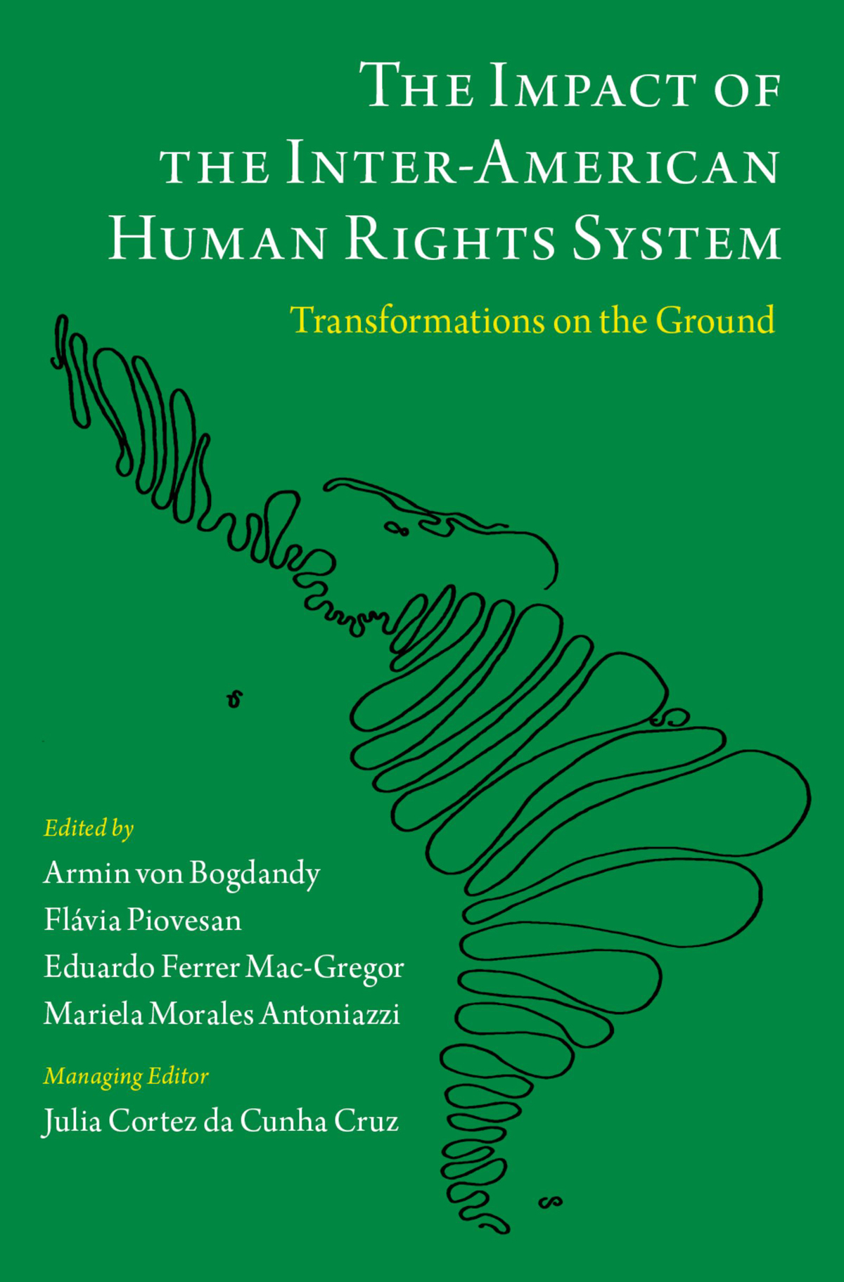 The Impact Of The Interamerican Human Rights System Flvia Piovesaneduardo Ferrer Macgregormariela Morales Antoniazziarmin Von Bogdandy