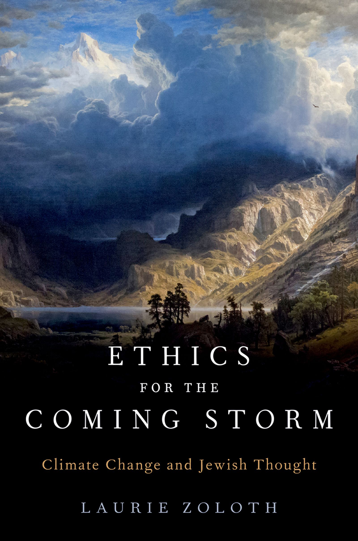 Ethics For The Coming Storm Laurie Zoloth
