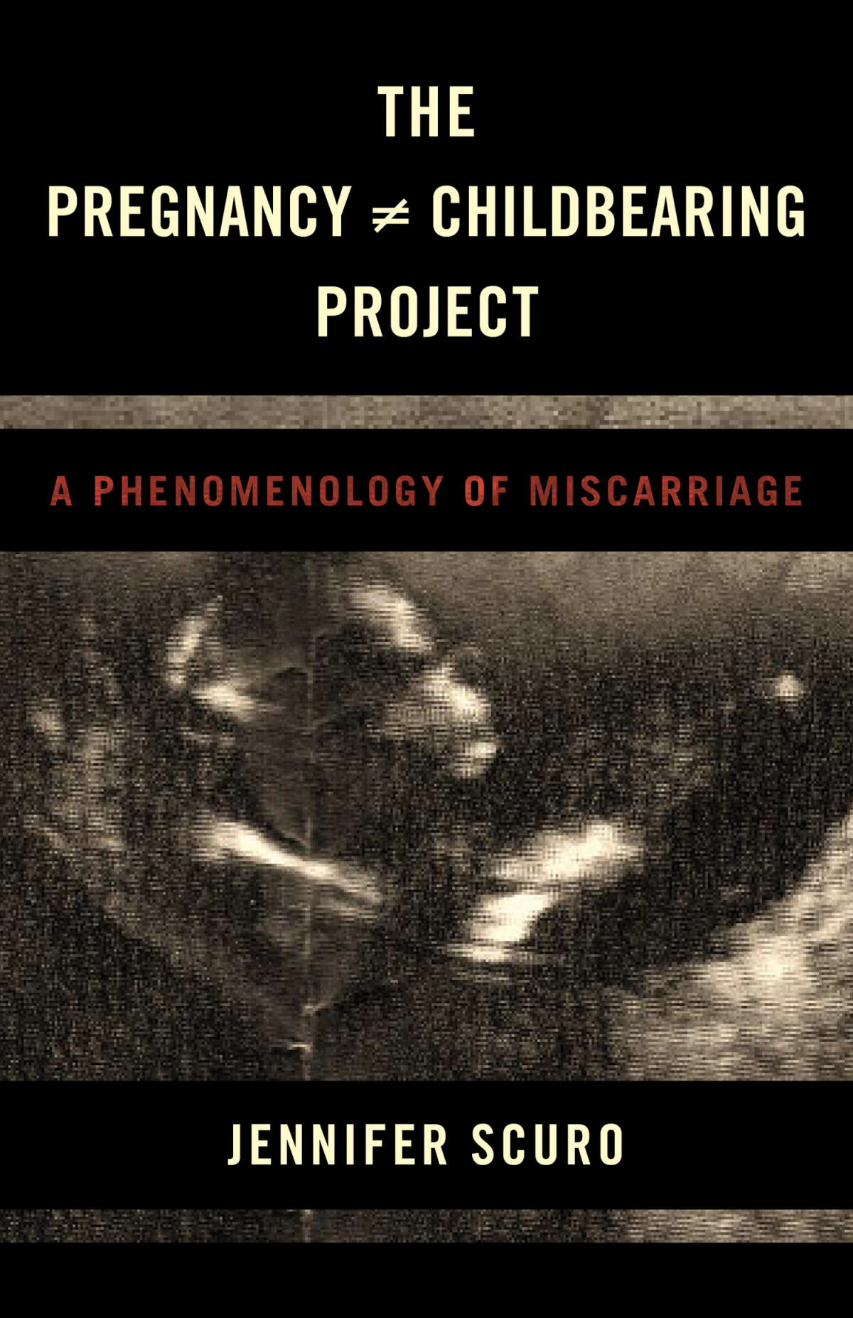 The Pregnancy Doesnotequal Childbearing Project Scuro Jennifer