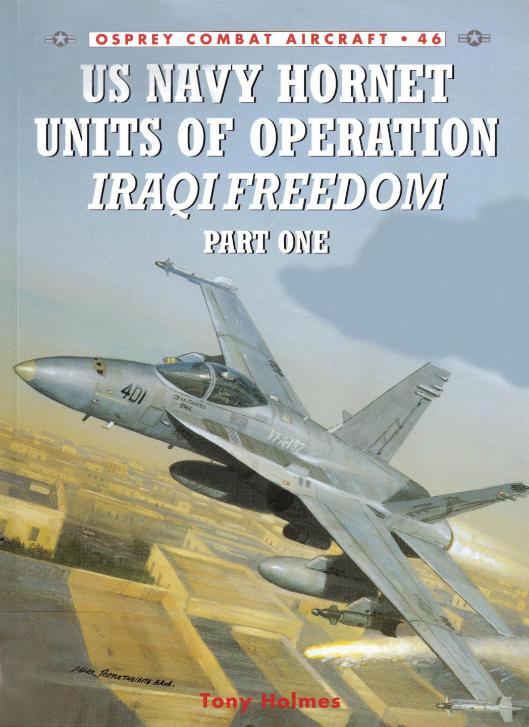 Us Navy Hornet Units Of Operation Iraqi Freedom Tony Holmes