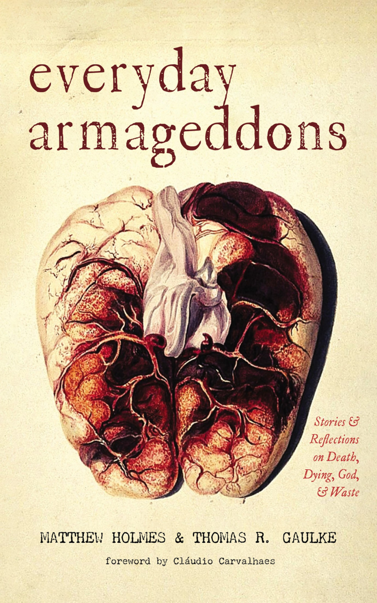 Everyday Armageddons Matthew Holmesthomas R Gaulke