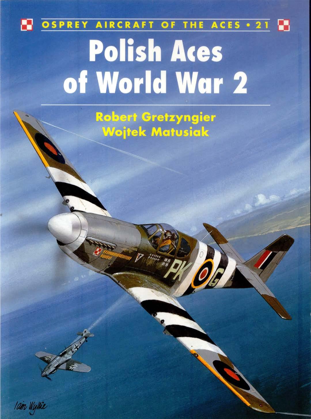 Polish Aces Of World War 2 Robert Gretzyngier