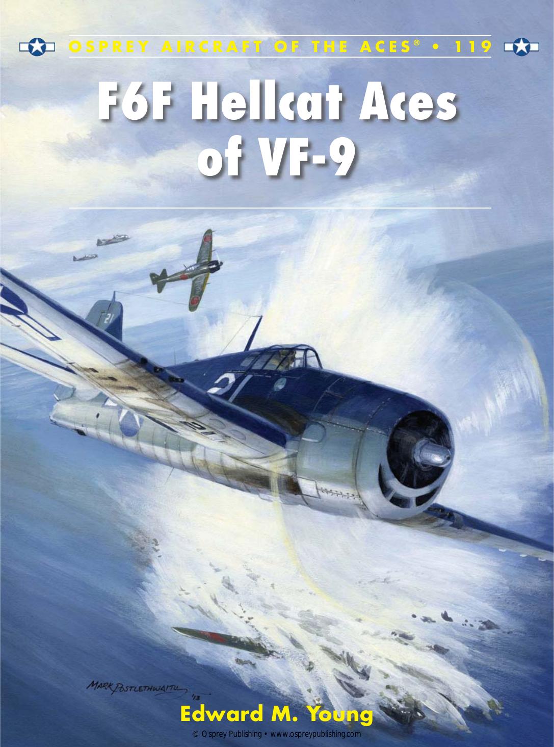 F6f Hellcat Aces Of Vf9 Edward M Young