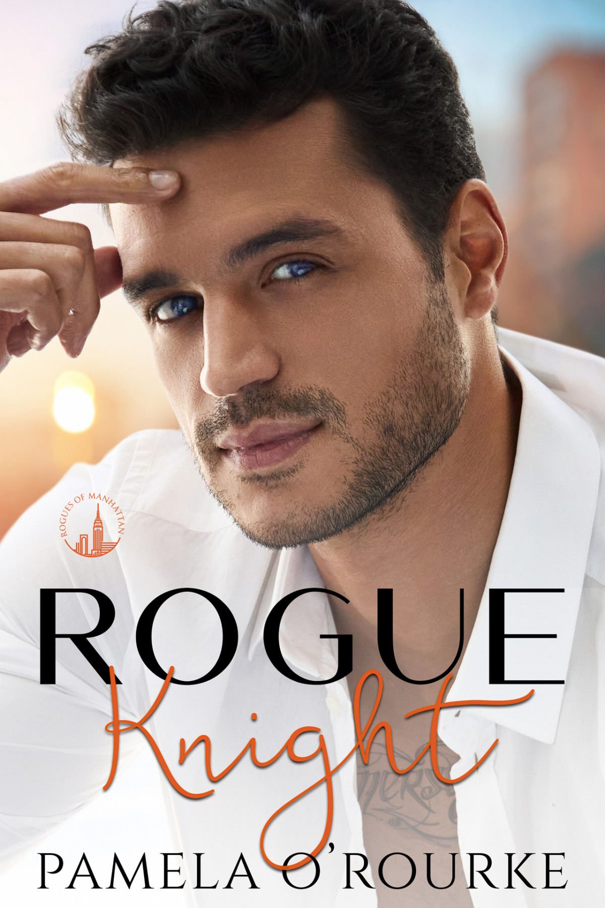 Rogue Knight A Second Chance Bodyguard Novel Pamela Orourke