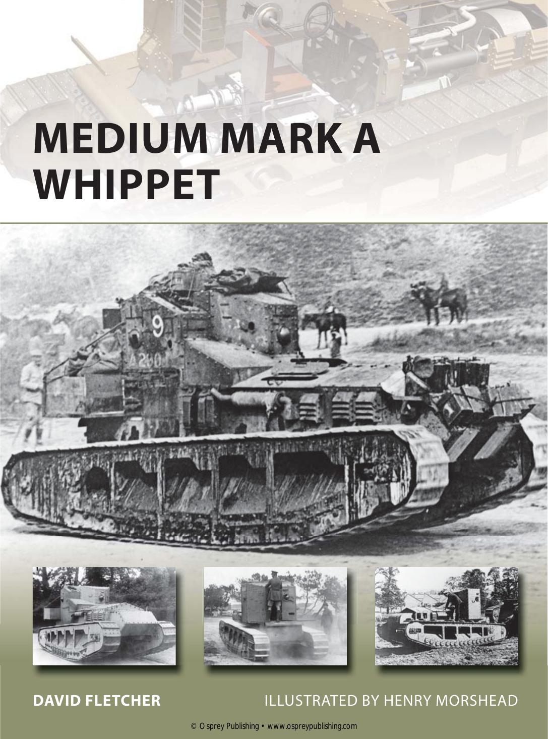 Medium Mark A Whippet David Fletcher