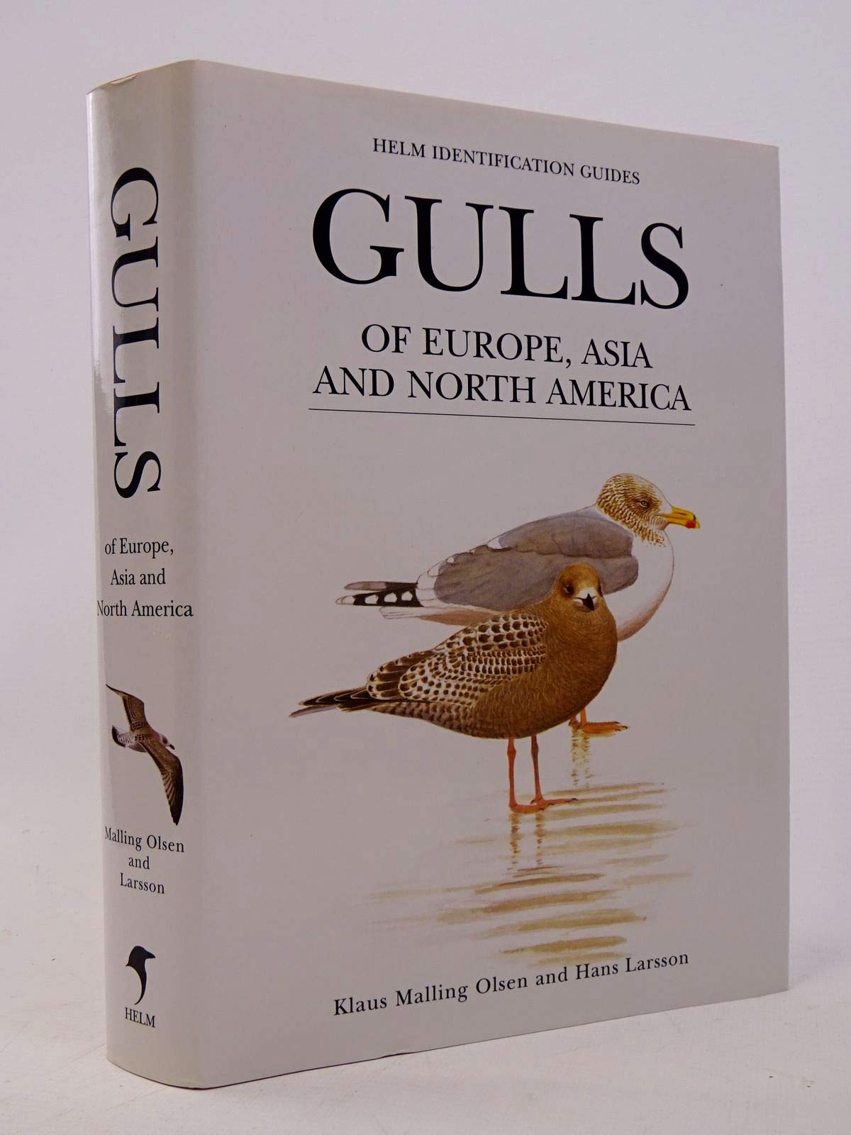 Gulls Of Europe Asia And North America Klaus Malling Olsen