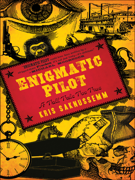 Enigmatic Pilot Kris Saknussemm