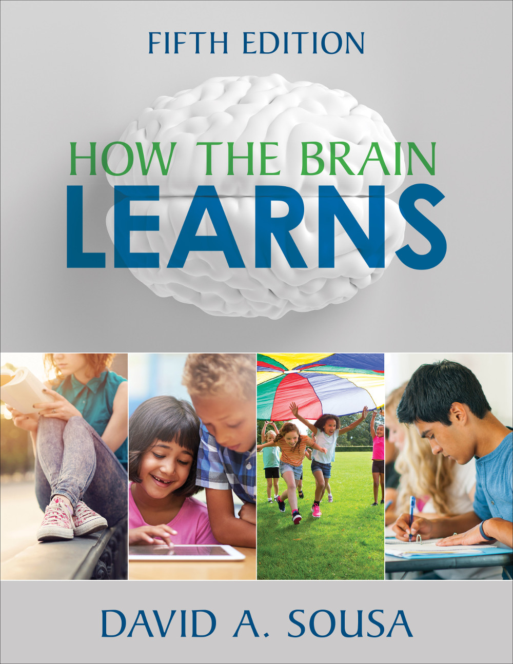 How The Brain Learns David A Sousa