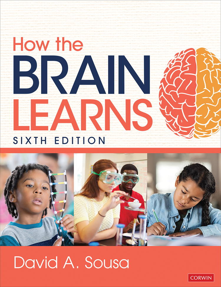 How The Brain Learns David A Sousa